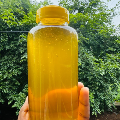 Untitled design (13)